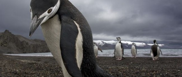 Comece novos relacionamentos pelas razões certas