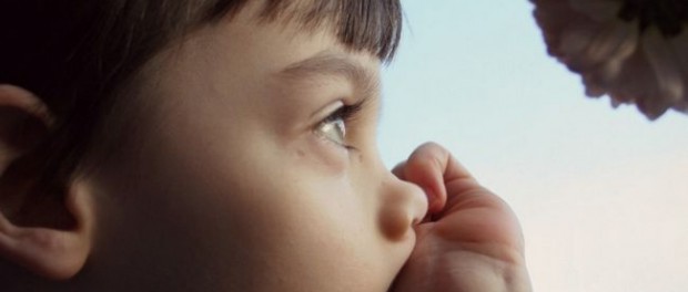 Ouça sua voz interior