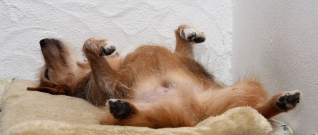 Fique atento ao seu nível de estresse