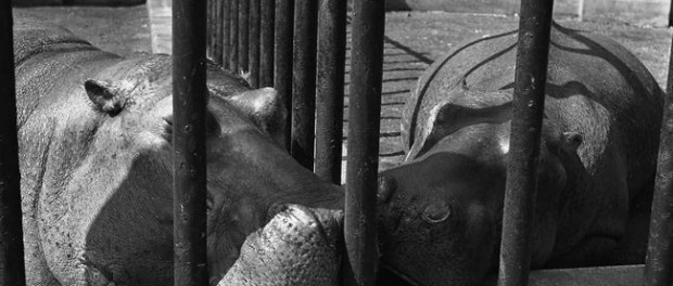 Perceba a beleza dos pequenos momentos