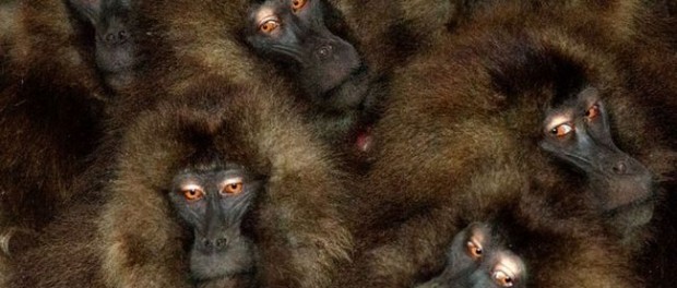 Nutra seus relacionamentos mais importantes