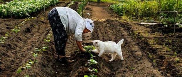 Perceba o quão rico você é agora
